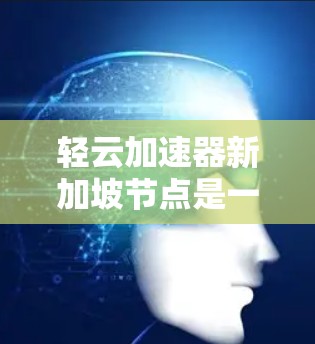 轻云加速器新加坡节点是一个位于新加坡的科技加速中心，专注于提供技术培训、科研支持和人才引进。以下是对该节点的详细介绍