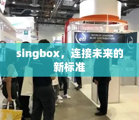 singbox，连接未来的新标准
