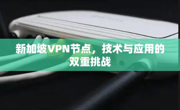 新加坡VPN节点，技术与应用的双重挑战