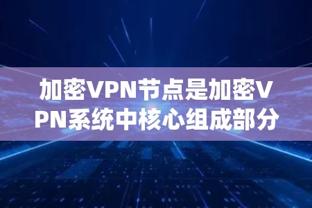 加密VPN节点是加密VPN系统中核心组成部分，负责将加密好的数据或视频传输到目标网络。以下是加密VPN节点的详细信息