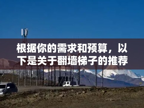 根据你的需求和预算，以下是关于翻墙梯子的推荐，涵盖了功能、适用场景以及价格因素