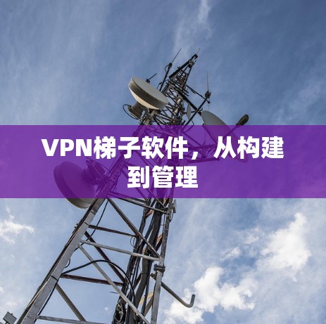 VPN梯子软件，从构建到管理
