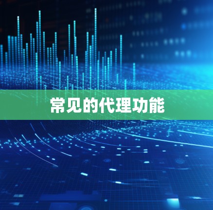 常见的代理功能