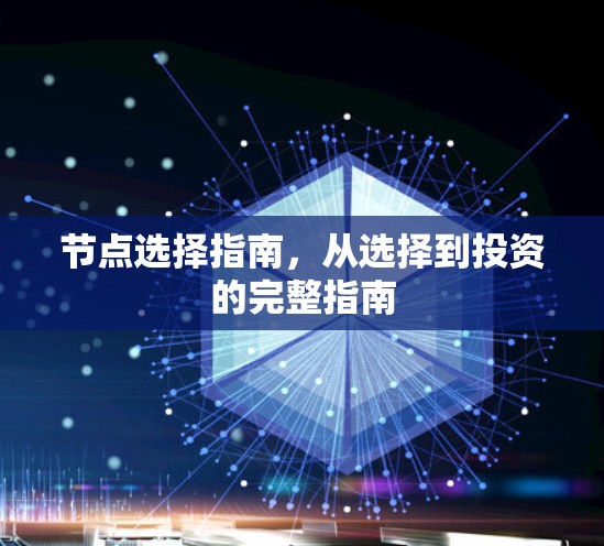 节点选择指南，从选择到投资的完整指南