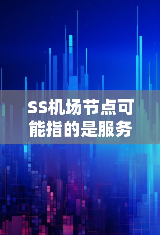 SS机场节点可能指的是服务系统或服务节点。在机场中，通常会有多个服务节点，这些节点负责不同的服务，如登机、起飞、降落、补给、餐饮等。以下是一些常见的机场节点