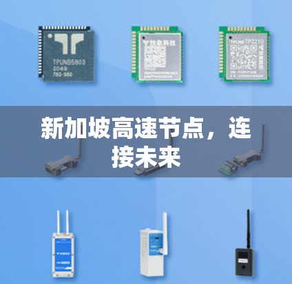 新加坡高速节点，连接未来