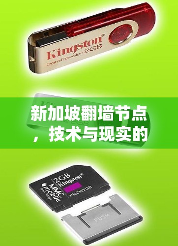 新加坡翻墙节点，技术与现实的完美融合