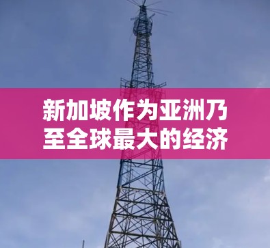 新加坡作为亚洲乃至全球最大的经济体之一，拥有大量服务器节点，这些服务器节点主要分布在新加坡本地和周边地区的数据中心。新加坡的服务器节点主要包括以下几类
