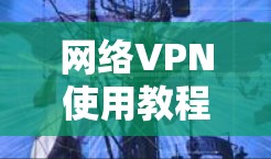 网络VPN使用教程，保护你的网络安全