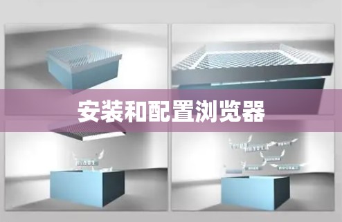 安装和配置浏览器