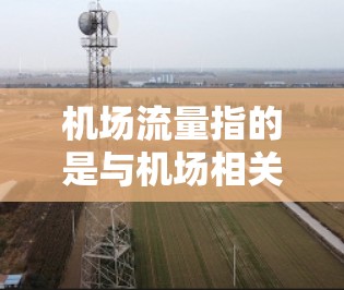 机场流量指的是与机场相关的服务和设施的使用情况，主要包括乘客的使用和机场设施（如停车、交通等）的使用。以下是关于机场流量的详细信息