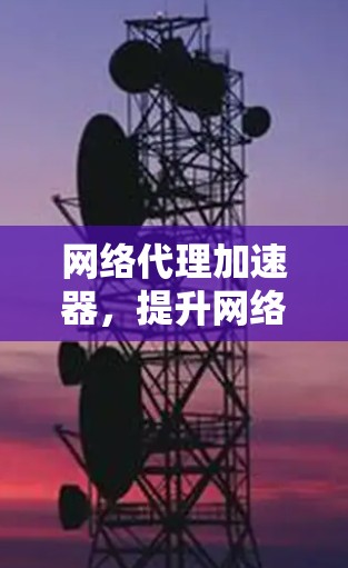 网络代理加速器，提升网络性能的高效解决方案