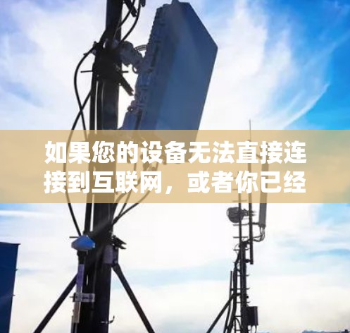 如果您的设备无法直接连接到互联网，或者你已经使用了VPN但遇到了问题，以下是一些可能的解决方案