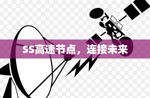 SS高速节点，连接未来