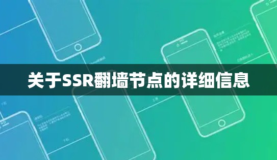 关于SSR翻墙节点的详细信息