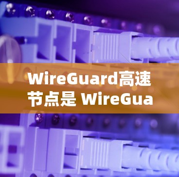 WireGuard高速节点是 WireGuard协议中的一种高级版本，主要用于大规模网络中的高流量场景。以下是对高速节点的详细概述