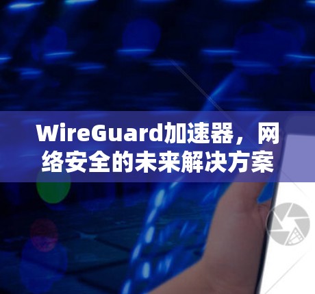 WireGuard加速器，网络安全的未来解决方案