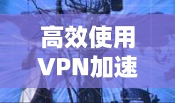 高效使用VPN加速器，从设置到优化，你必须知道的