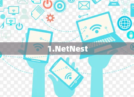 1.NetNest