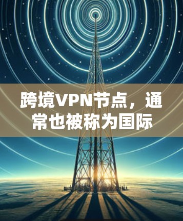 跨境VPN节点，通常也被称为国际VPN节点，是指位于不同国家的网络服务器，用于国际间共享数据的VPN服务。这些节点通常具备国际化的服务器环境，能够支持多国的网络资源访问，提供高效的VPN连接