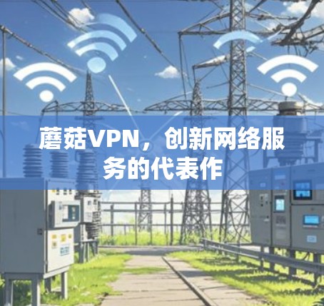 蘑菇VPN，创新网络服务的代表作