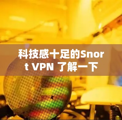 科技感十足的Snort VPN 了解一下