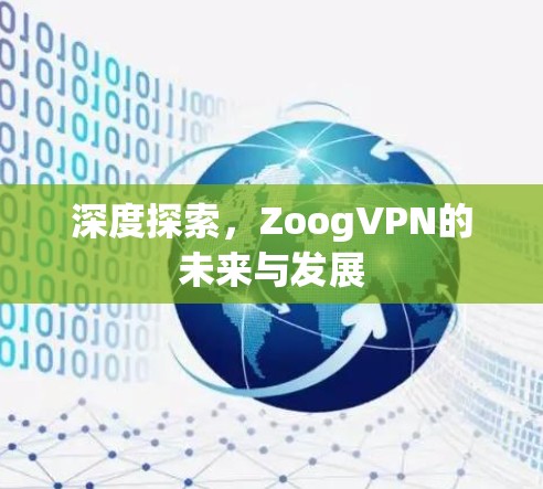 深度探索，ZoogVPN的未来与发展