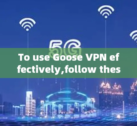To use Goose VPN effectively,follow these organized steps: