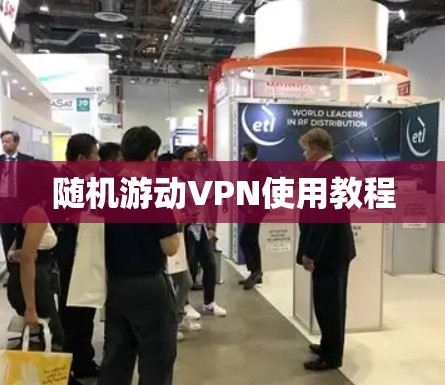 随机游动VPN使用教程