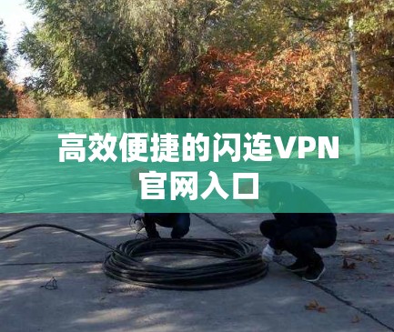 高效便捷的闪连VPN官网入口