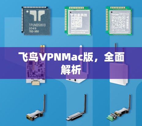 飞鸟VPNMac版，全面解析