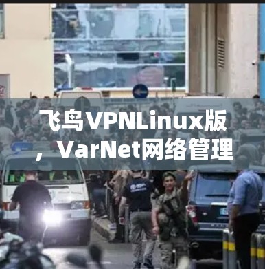 飞鸟VPNLinux版，VarNet网络管理的全新端到端解决方案