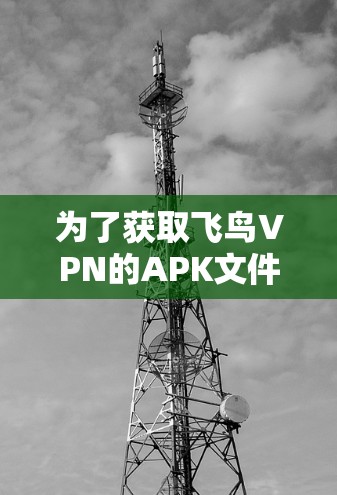 为了获取飞鸟VPN的APK文件并安全使用，您可以按照以下步骤进行