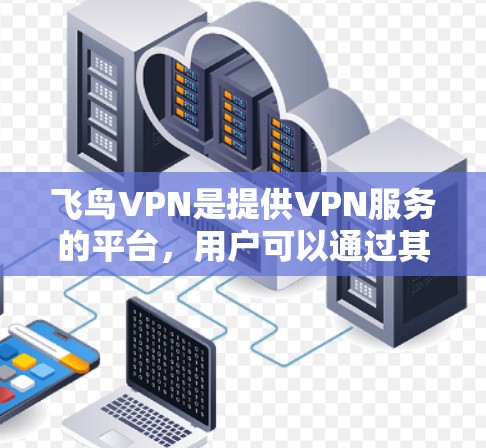 飞鸟VPN是提供VPN服务的平台，用户可以通过其网站或应用安装并使用。如果用户对飞鸟的VPN服务感兴趣，以下是关于飞鸟VPN的一些关键信息