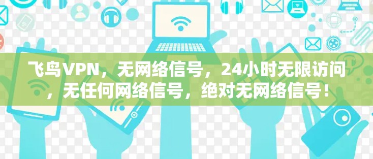 飞鸟VPN，无网络信号，24小时无限访问，无任何网络信号，绝对无网络信号！