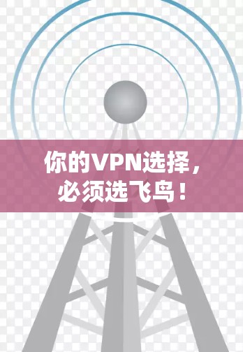 你的VPN选择，必须选飞鸟！