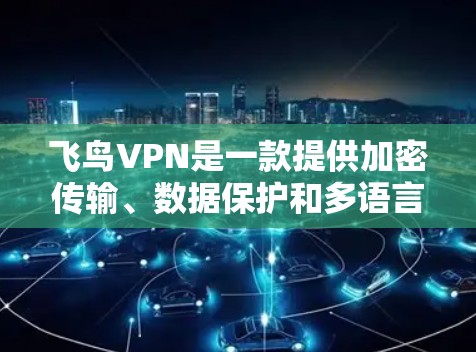飞鸟VPN是一款提供加密传输、数据保护和多语言支持的VPN服务软件，支持在手机上下载并使用。以下是关于飞鸟VPN的详细介绍