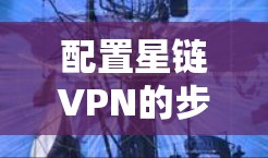 配置星链VPN的步骤如下