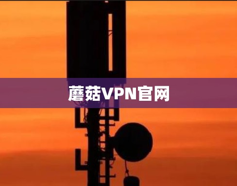 蘑菇VPN官网