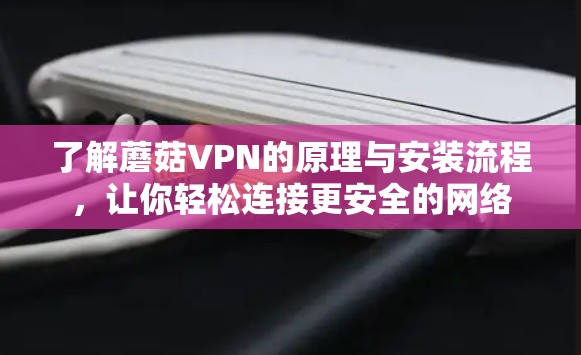 了解蘑菇VPN的原理与安装流程，让你轻松连接更安全的网络