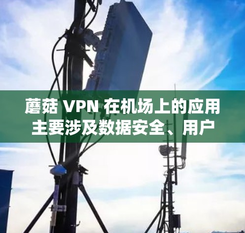 蘑菇 VPN 在机场上的应用主要涉及数据安全、用户安全和系统安全的综合考量。以下是具体的分析和建议