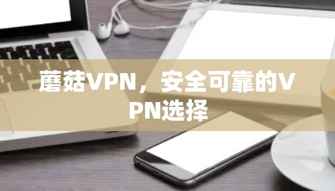 蘑菇VPN，安全可靠的VPN选择
