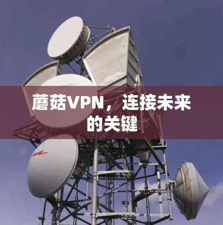 蘑菇VPN，连接未来的关键
