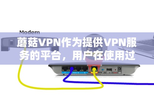 蘑菇VPN作为提供VPN服务的平台，用户在使用过程中可能会遇到多种问题。以下是一些常见的问题及其解决方案