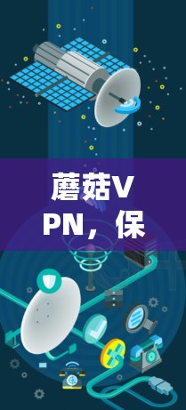蘑菇VPN，保障网络安全的可靠选择