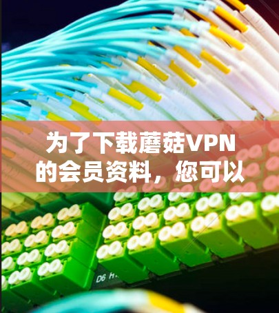 为了下载蘑菇VPN的会员资料，您可以按照以下步骤进行