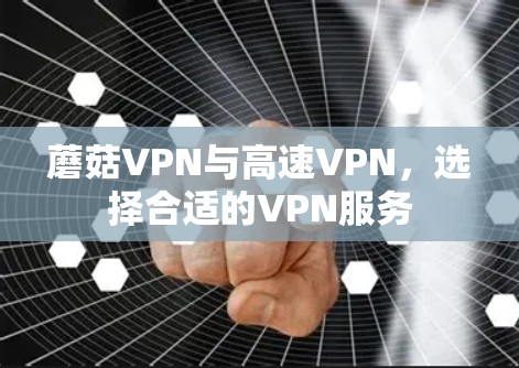 蘑菇VPN与高速VPN，选择合适的VPN服务