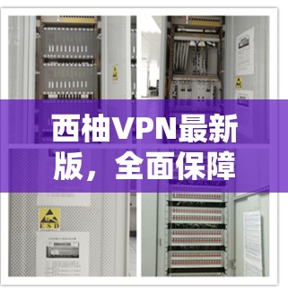 西柚VPN最新版，全面保障网络连接，助力您的通信需求