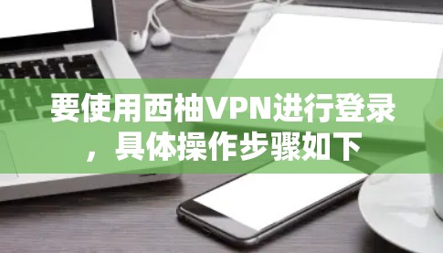 要使用西柚VPN进行登录，具体操作步骤如下