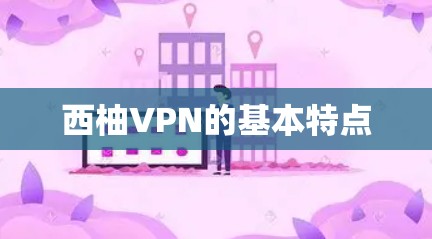 西柚VPN的基本特点